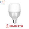 Đèn Led Basic Bulb Panasonic T2 30W