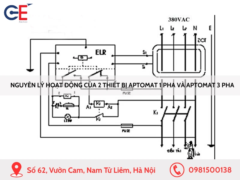 Nguyên lý hoạt động của 2 thiết bị aptomat 1 pha và aptomat 3 pha