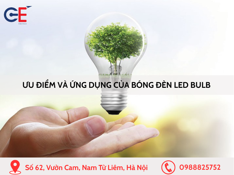 Ưu điểm và ứng dụng của Bóng Đèn LED Bulb