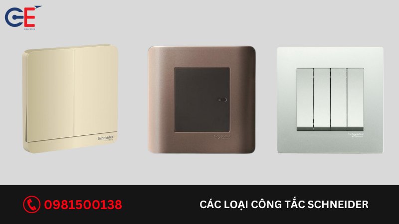Các loại công tắc Schneider