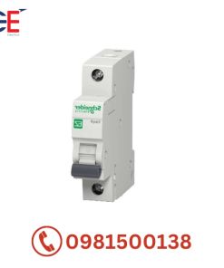Cầu dao tự động Easy9 MCB 1P