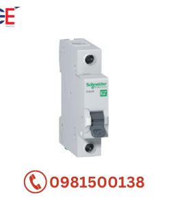 Cầu dao tự động Easy9 MCB 1P