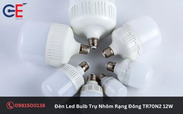 Cấu tạo của đèn Led Bulb Trụ Nhôm Rạng Đông TR70N2 12W
