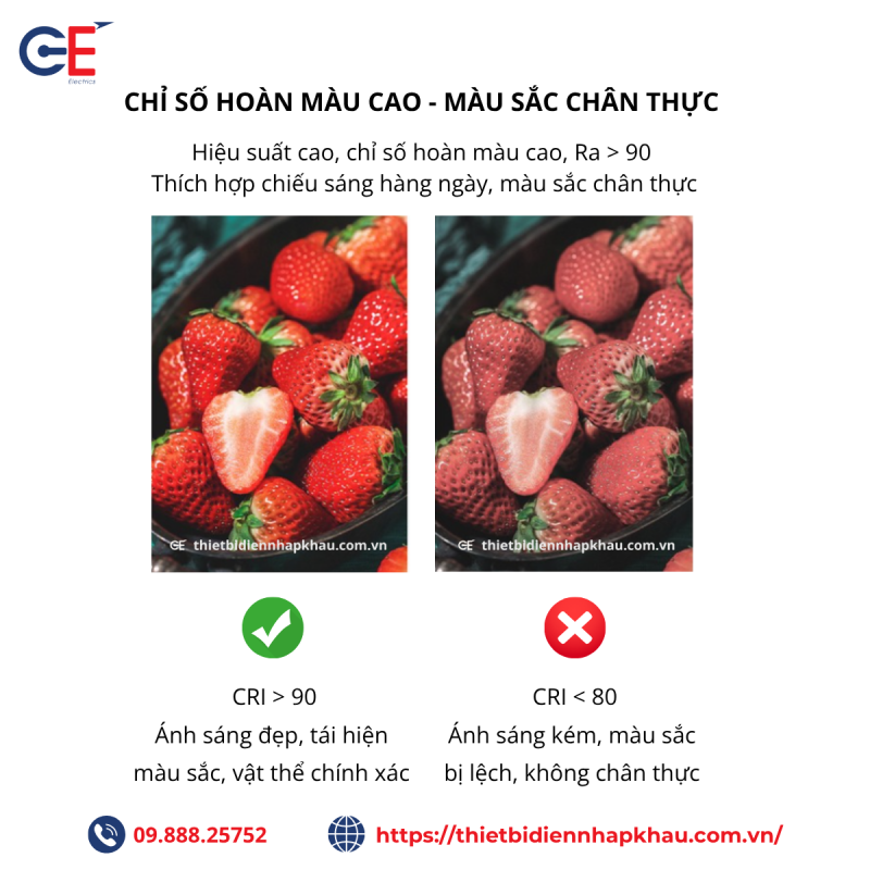 Chỉ số hoàn màu cao màu sắc chân thực