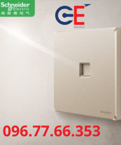 Công tắc Schneider Zencolo