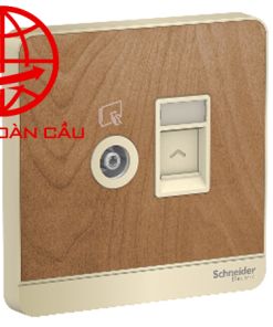bộ ổ cắm mạng tivi schneider avataon