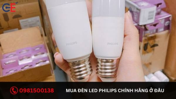 Cung cấp đèn Led Bulb Philips chính hãng