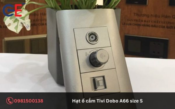 Ứng dụng của hạt ổ cắm Tivi Dobo A66 size S