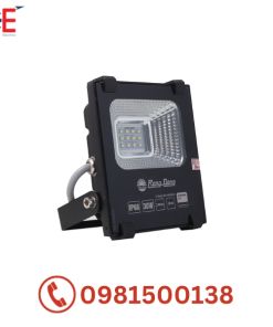 Đèn chiếu pha CP06 30W Rạng Đông