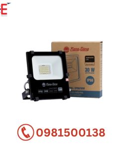 Đèn chiếu pha CP06 30W Rạng Đông