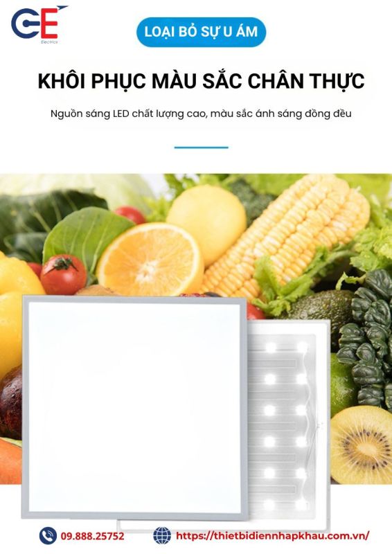 Đèn led Panel 600x600 Philips
