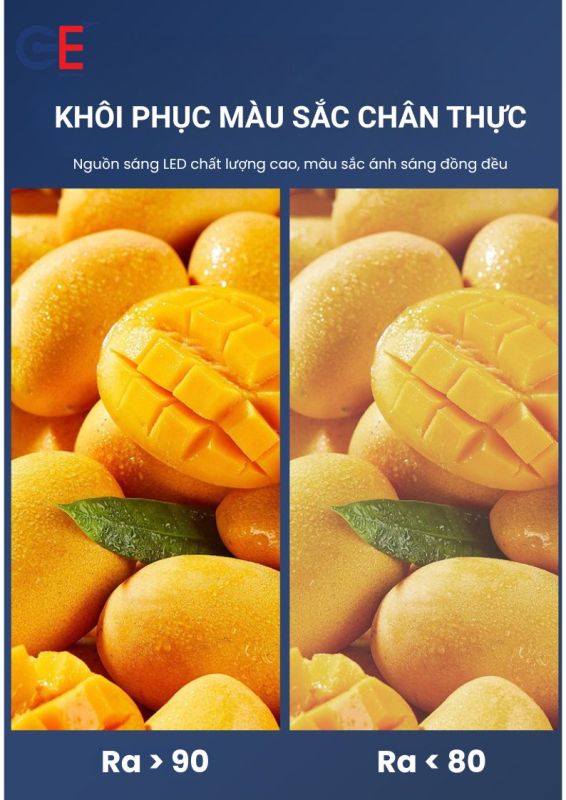 Đèn led panel philips MD3 CRI cao