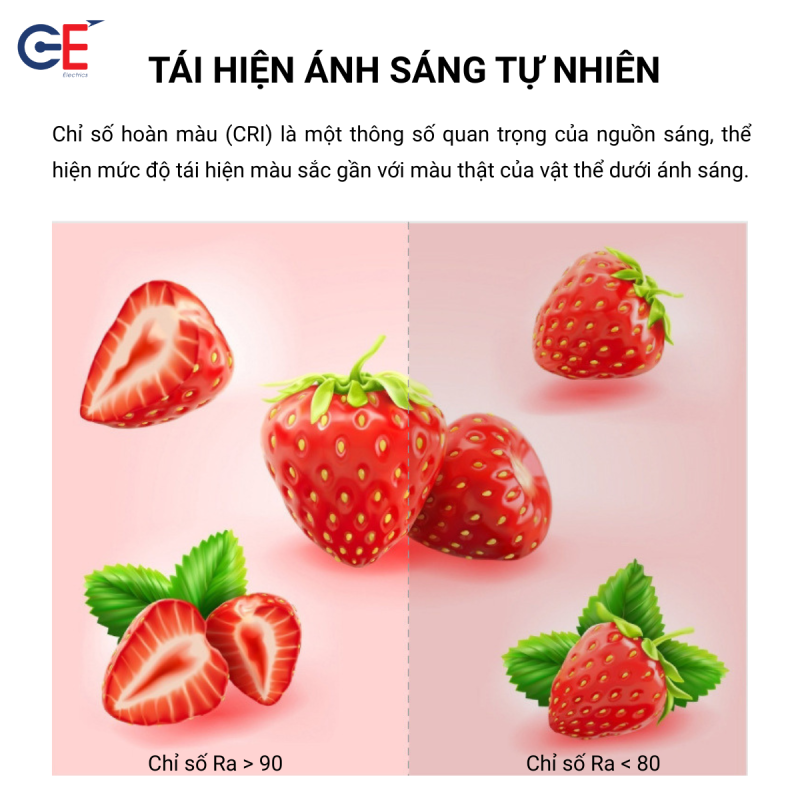 Đèn led spotlight Philips màu sắc chân thực