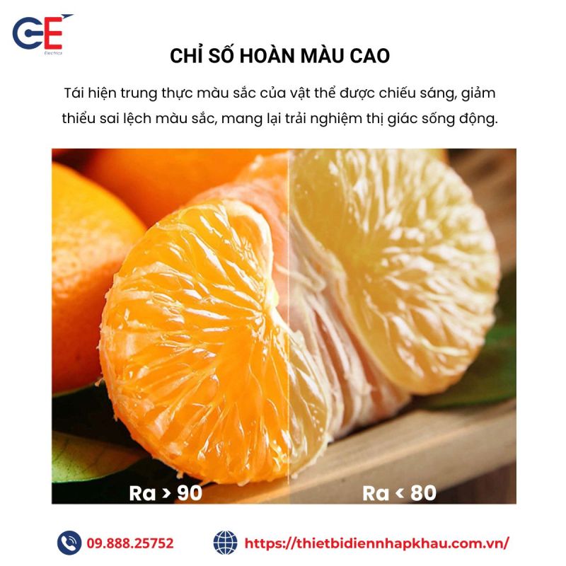 Đèn rọi thanh ray Philips STR02