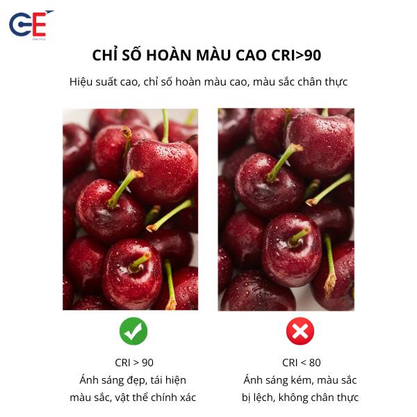 Đèn spotlight Philips SP01 màu sắc chân thực