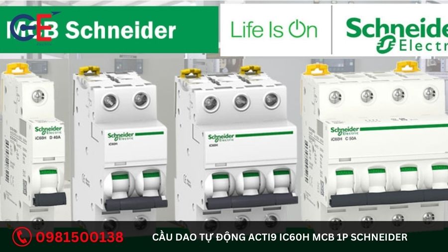 Địa chỉ cung cấp cầu dao tự động Acti9 iC60H MCB 1P Schneider