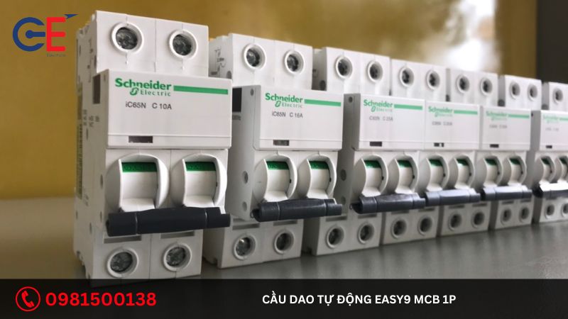 Địa chỉ cung cấp cầu dao tự động Easy9 MCB 1P