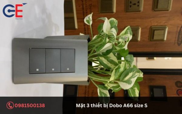 Giới thiệu về sản phẩm mặt 3 thiết bị Dobo A66 size S 