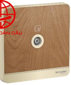 hạt tivi schneider