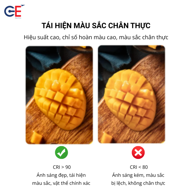 Màu sắc trung thực