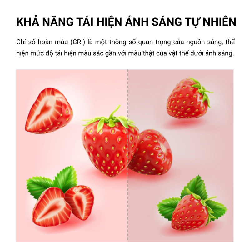 Tái hiện ánh sáng tự nhiên