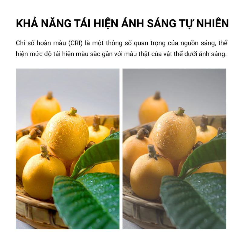 Tái hiện màu sắc chân thực